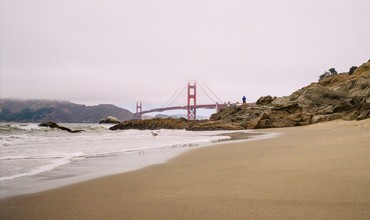 Do you see a sea gull?